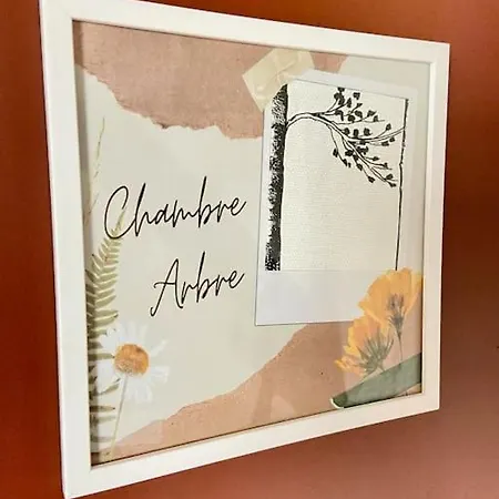 Chez Mamema, Maison Alsacienne Route Des Vins * Кинцхайм